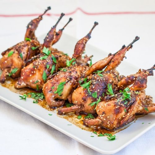 Bater  ( Quail)